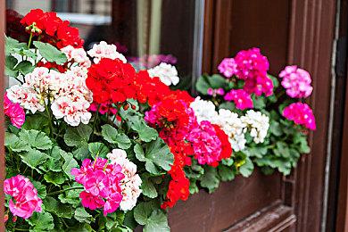 《最终幻想7：重制版》MOD禁用默认动态分辨率缩放